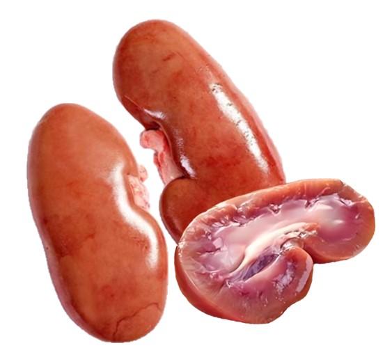 fresh pork kidneys 